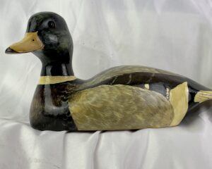 Duck Decoy