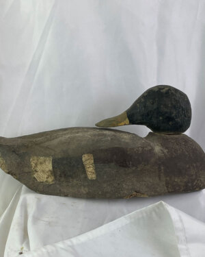 80 year plus Cork, Wood, and Fiberglass, Mallard Duck Decoy